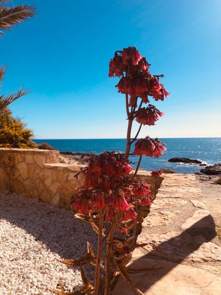 Mangata Casa de vacances