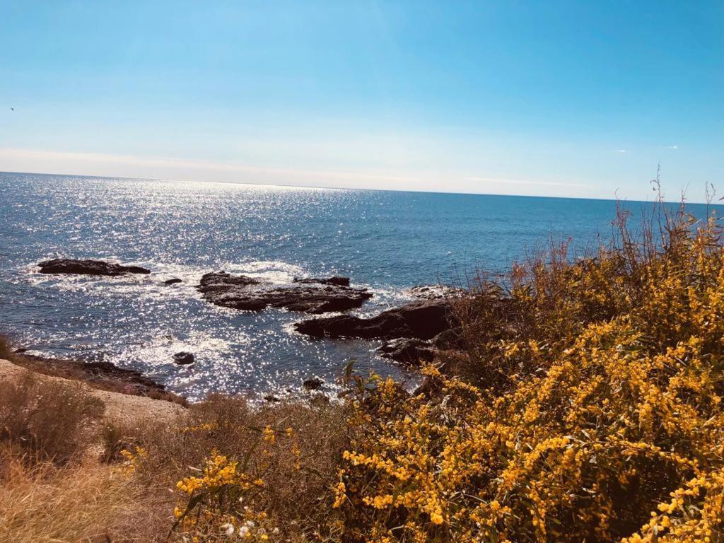 Hébergement de vacances Mangata *